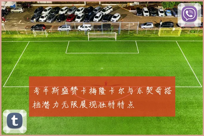 考辛斯盛赞卡梅隆卡尔与东契奇搭档潜力无限展现独特特点