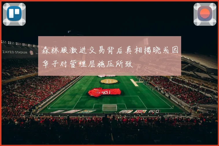 森林狼激进交易背后真相揭晓或因华子对管理层施压所致