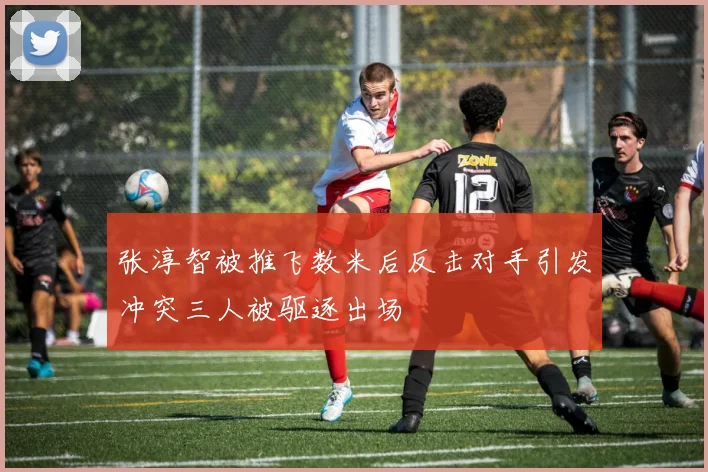 张淳智被推飞数米后反击对手引发冲突三人被驱逐出场